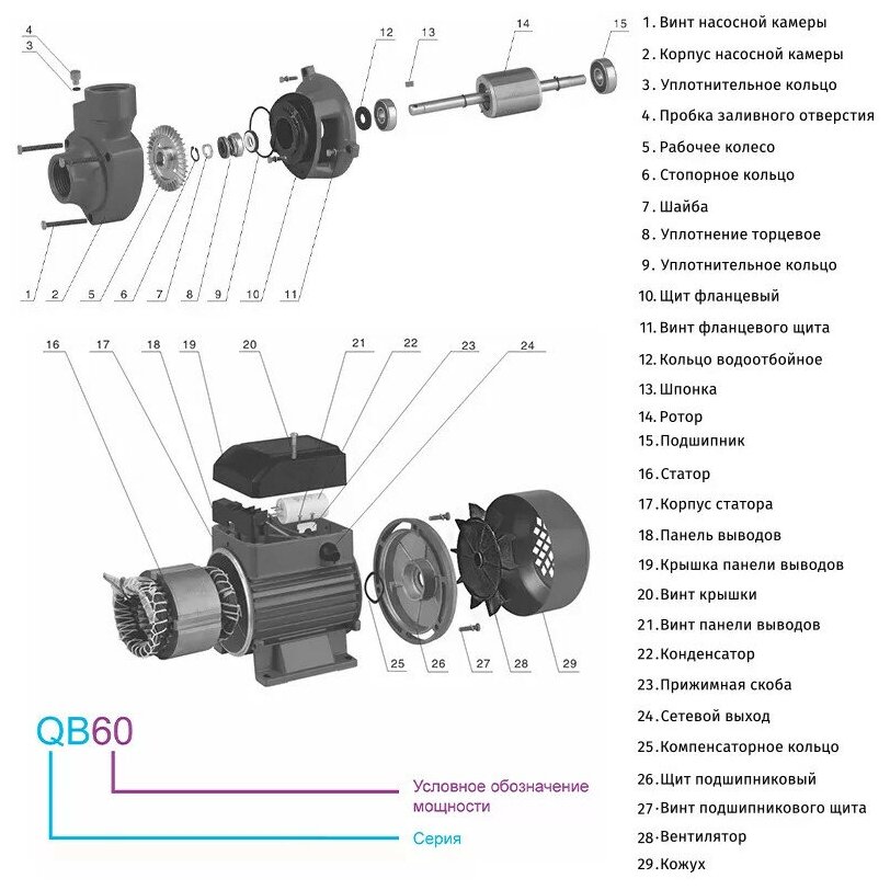 Насос поверхностный вихревой QB60 ZEGOR - фотография № 2