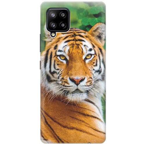 RE: PA Чехол - накладка ArtColor для Samsung Galaxy A42 с принтом Портрет тигра re pa чехол накладка artcolor для oppo a52 a72 с принтом портрет тигра