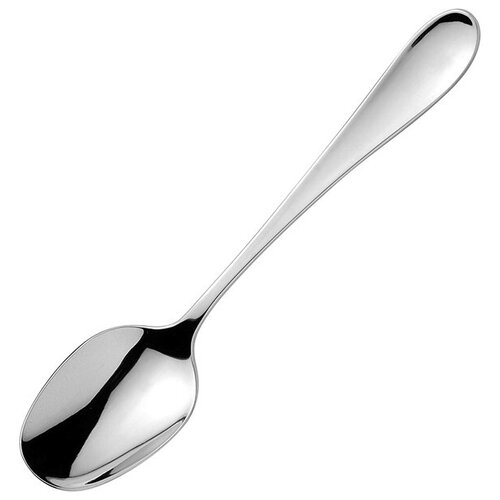 фото Ложка десертная oslo eternum