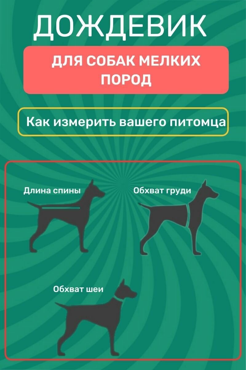 Дождевик прозрачный для собак мелких пород / Размер XXL - фотография № 2