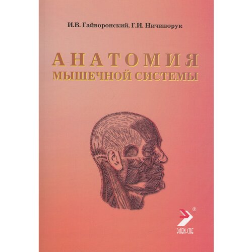 Гайворонский И.В., Ничипорук Г.И. "Анатомия мышечной системы"