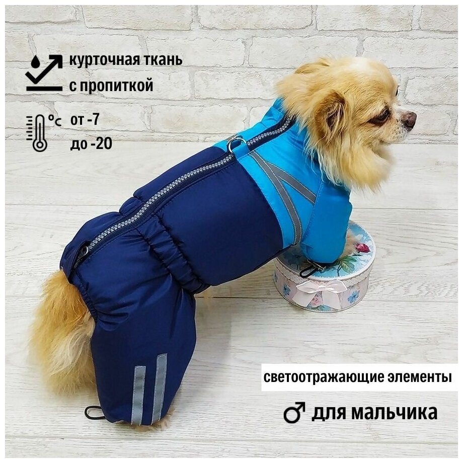 Зимний комбинезон для собаки, для мальчика, "Dilai" FLASH, бирюзовый S - фотография № 1