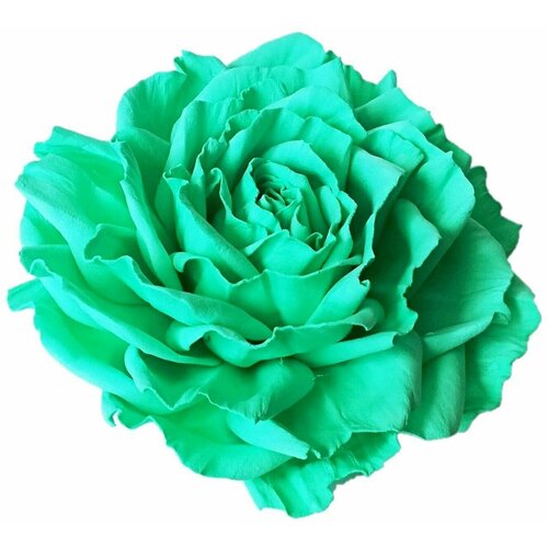 Заколка-брошь для волос/одежды/сумки крупный цветок роза бирюзовая 0024