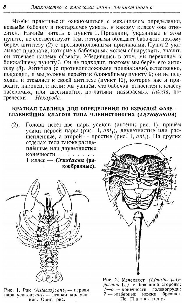 Книга Руководство к практическим занятиям по общей энтомологии - фото №3