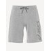 Шорты/Asics/2031A976-022/ASICS BIG LOGO SWEAT SHORT/серый/S