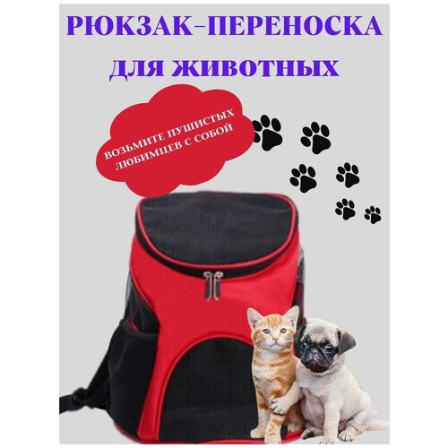 Переноска рюкзак для кошек и собак малых пород, размер L, переноска для животных