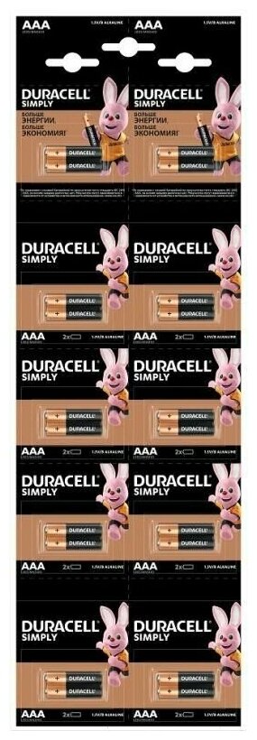 батарейки AAA (LR3) 20шт. (15+5) Duracell щелочные Basic - фото №3