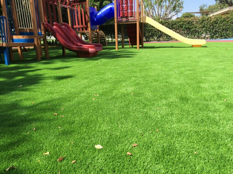 Газонная трава Семена газонной травы для футбольных полей кортов и детских игровых площадок Евро-Спорт 250гр