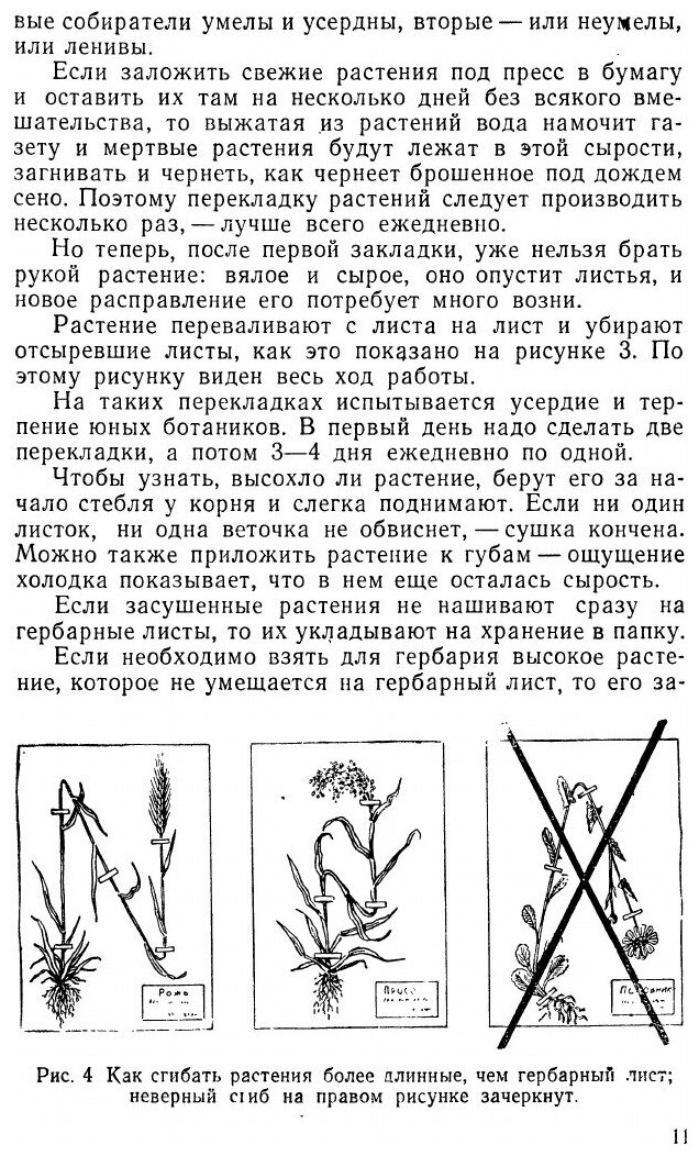 Книга Самодельные коллекции по ботанике и зоологии. Знай и умей - фото №7