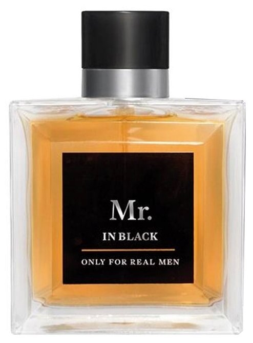 Туалетная вода Christine Lavoisier Parfums Mr. In Black 100 мл