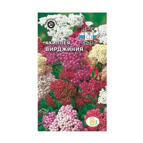 Семена цветов цветок Ахиллея Вирджиния (вид: тысячелистник обыкновенный, соцветия белой, роз
