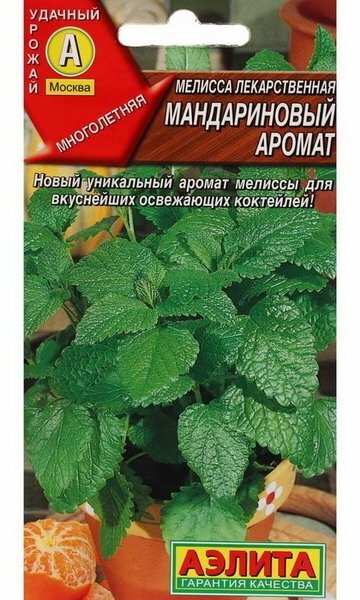 Семена Мелисса 