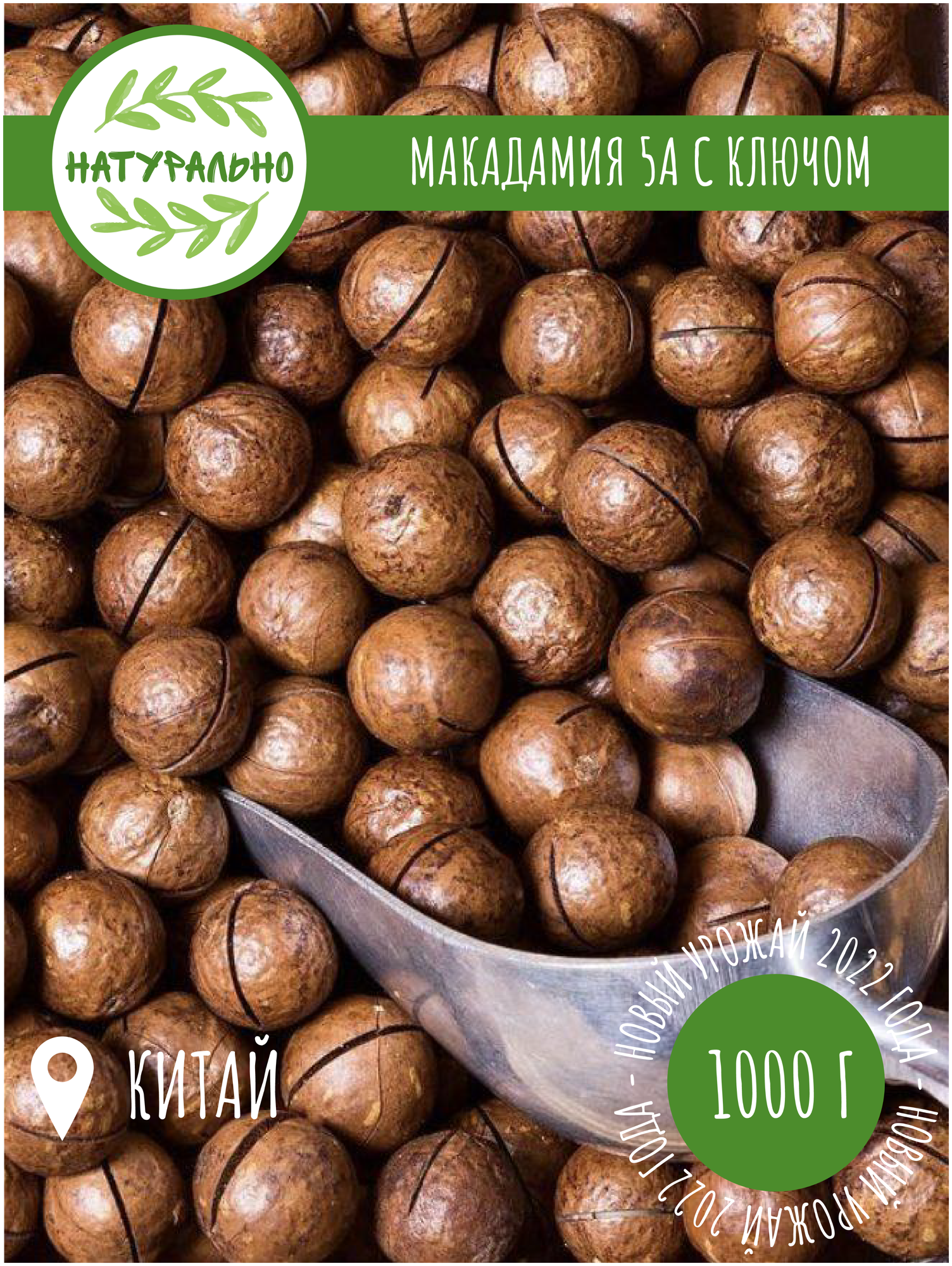 Макадамия орех (Macadamia) 1000 грамм в скорлупе с распилом, свежий урожай без горечи, ванилный вкус отборные и целые орехи - фотография № 1