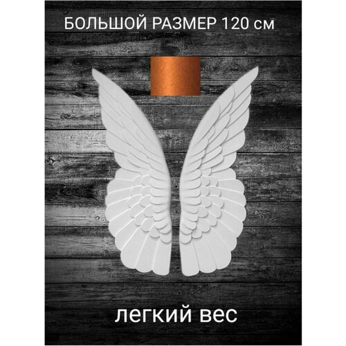 Крылья ангела медные