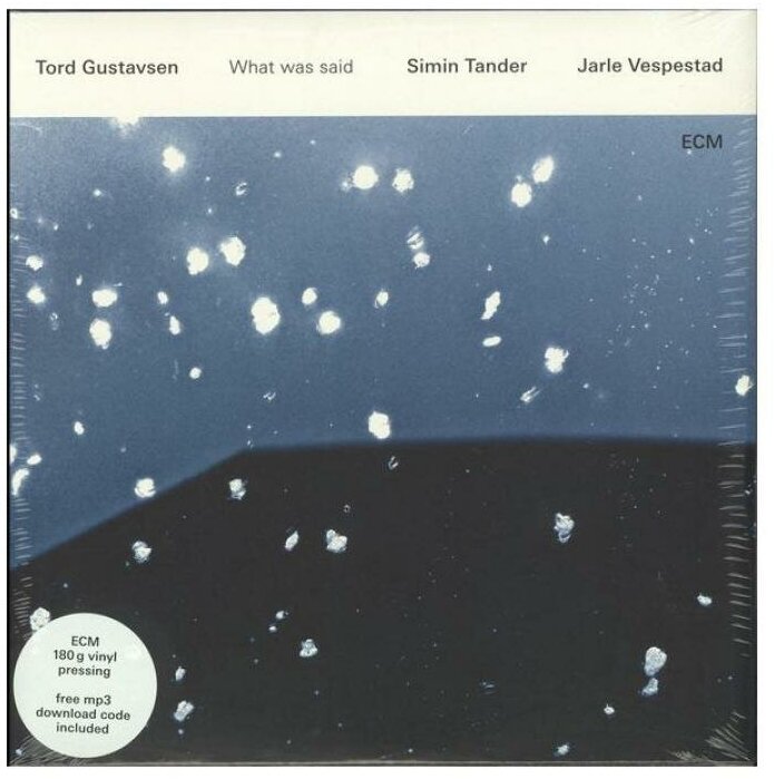 Виниловая пластинка Tord Gustavsen, Tord Gustavsen: What Was Said (0602547665324)