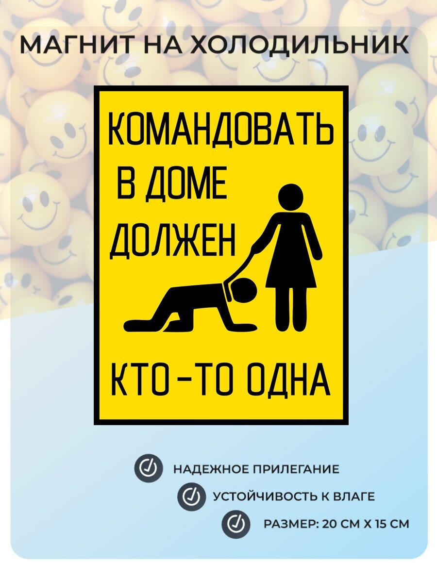 Магнит на Холодильник Командовать в доме должен кто-то одна (20 см х 15 см, желтый) Сувенирный магнит №32