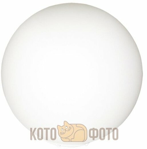 Настольная лампа Arte lamp Sphere A6020LT-1WH