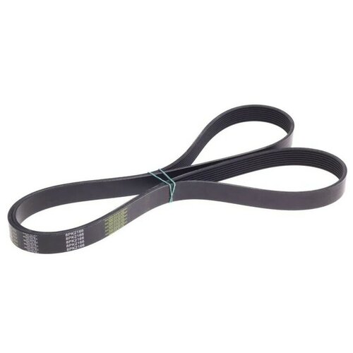 Ремень 2166 генератора Г-3302 Бизнес двс Cummins Darwin Plus