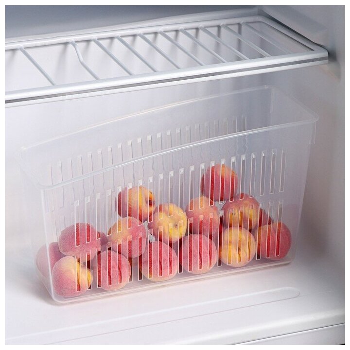 Контейнер для холодильника, 24,5×9,5×14 см, цвет прозрачный