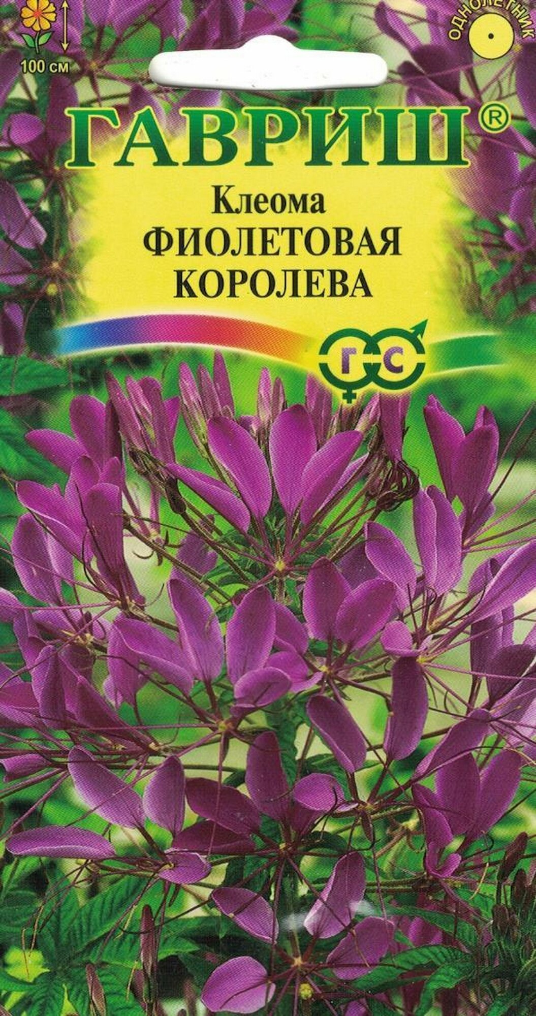 Семена Клеома Фиолетовая Королева 0.3 грамма семян Гавриш