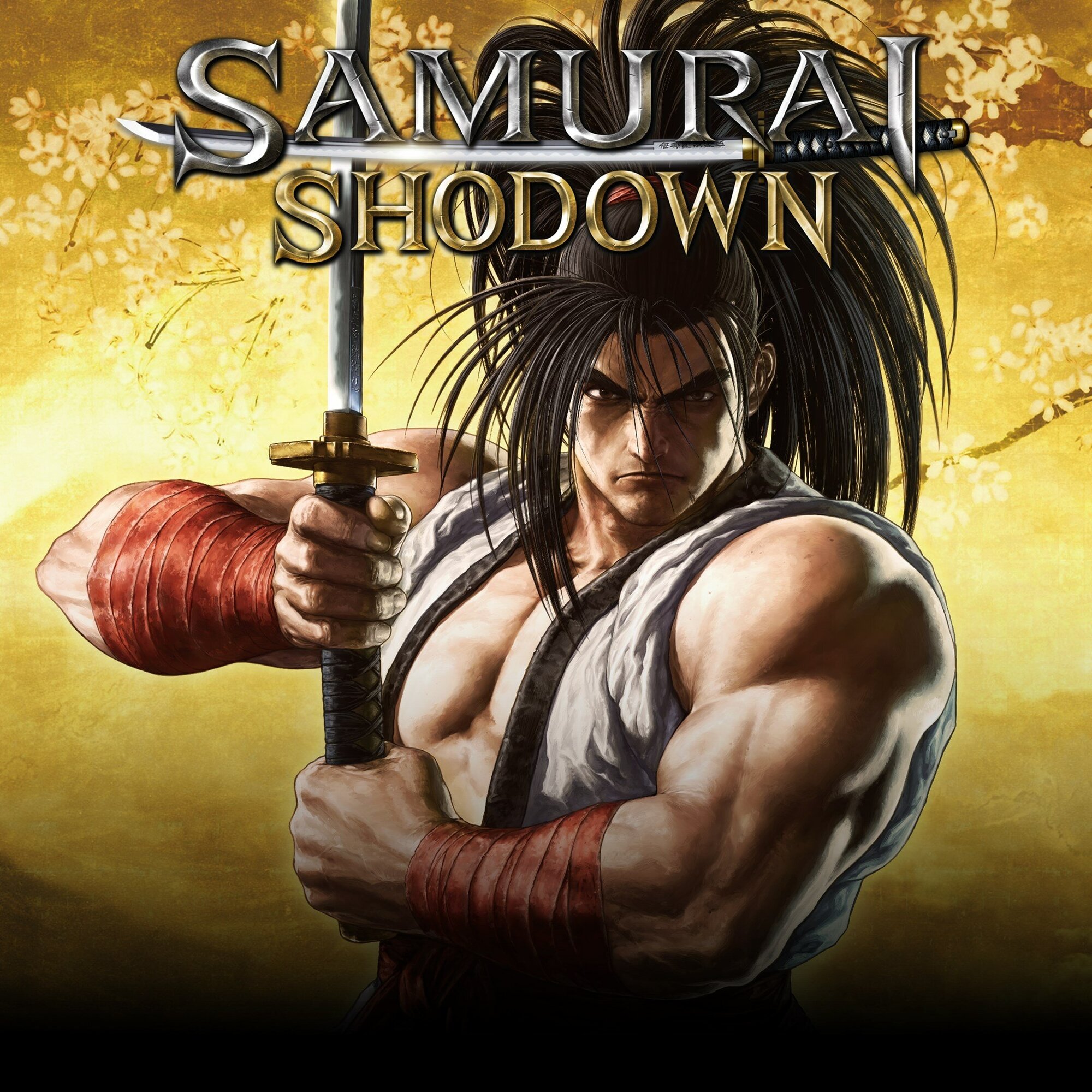 Samurai shodown steam фото 98