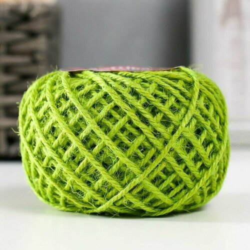 Пряжа 100 джут Jute Colored 50м 2м светло-зелёный 50 гр 563₽