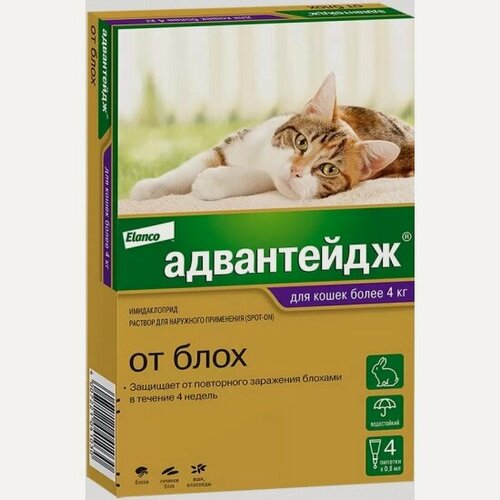 Изображение товара Капли Elanco Адвантейдж 80 К защита от блох для кошек больше 4 кг (4 пипетки х 0,8 мл)