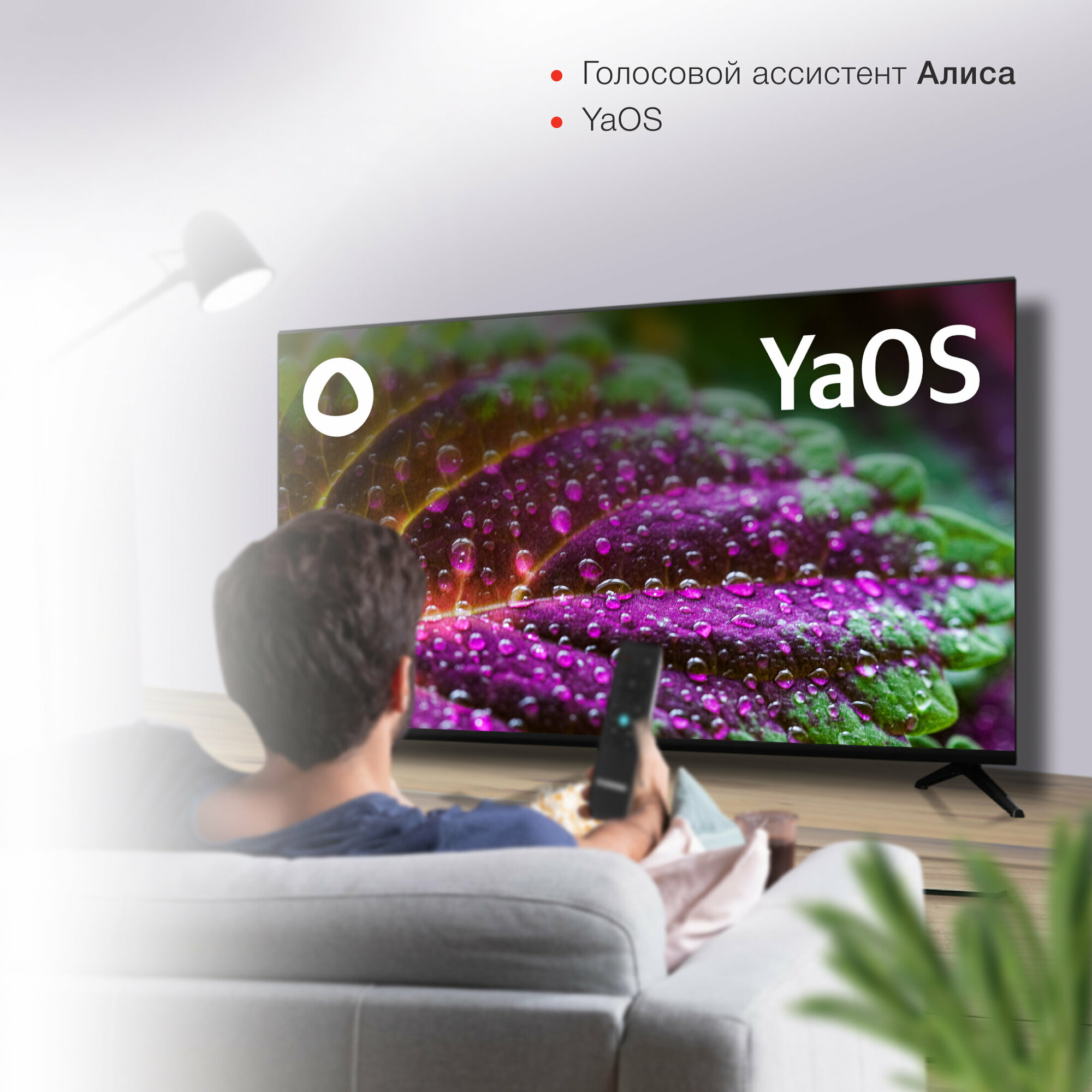 Телевизор Starwind Яндекс.ТВ SW-LED43SG300, 43", LED, FULL HD, Яндекс.ТВ, черный - фото №11