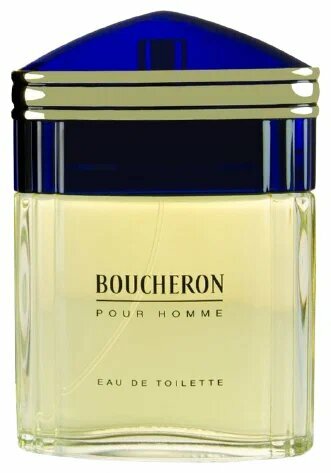 Boucheron туалетная вода Boucheron pour Homme, 100 мл