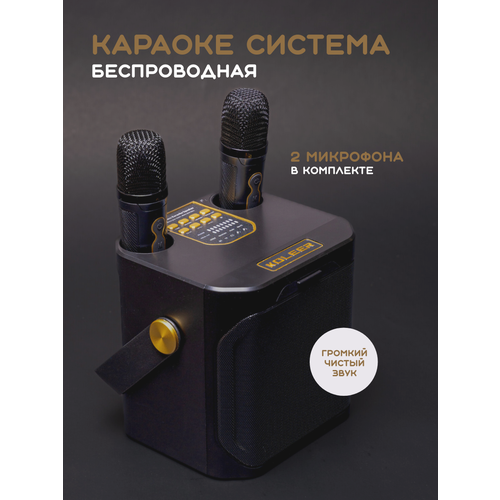 Караоке-система, с двумя беспроводными микрофонами, Bluetooth