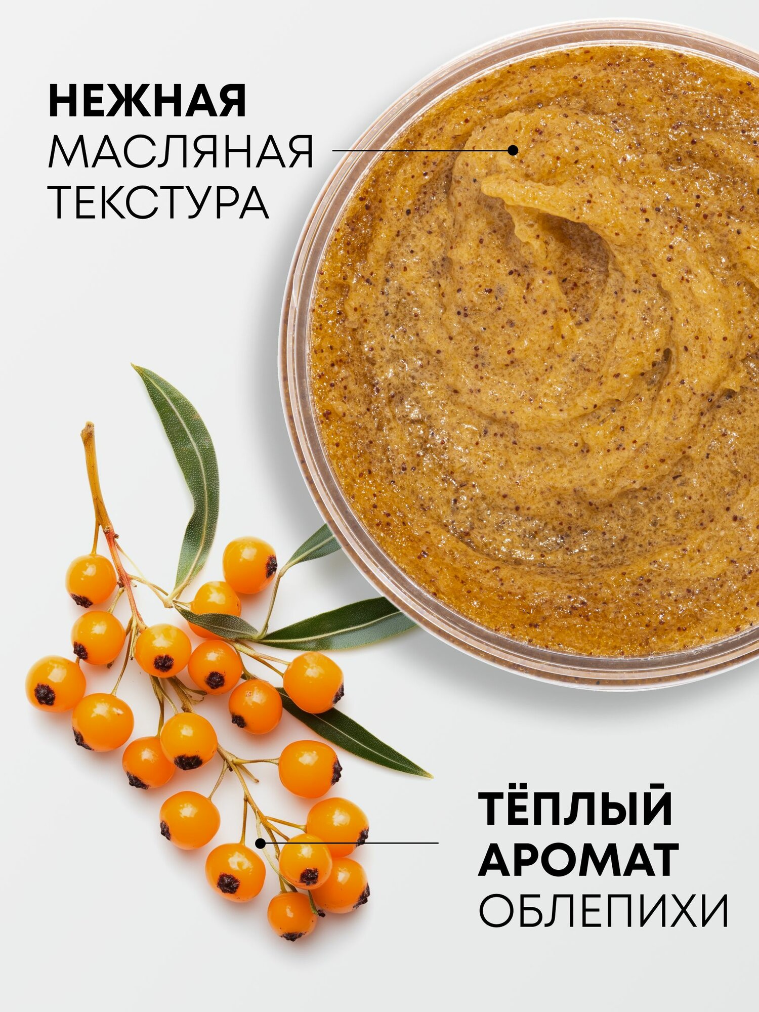 Картинки Natura Siberica Oblepikha Облепиховый кедровый Скраб для тела антицеллюлитный питательный соляной с витаминами и увлажняющими маслами 300 мл