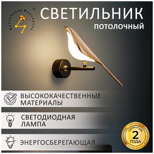 Настенный светильник Балтийский Светлячок в виде птицы для спальни, кабинета, дома