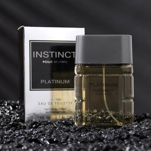 Instinct Туалетная вода мужская Instinct Platinum, 100 мл