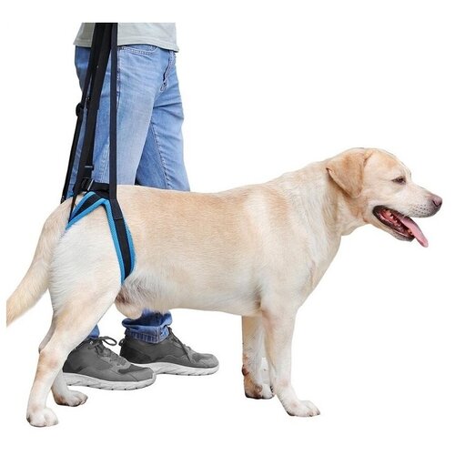 Поддержка для собак задняя, поддержка для пожилых собак, шлейка для собак ортопедическая Mr Dog XL