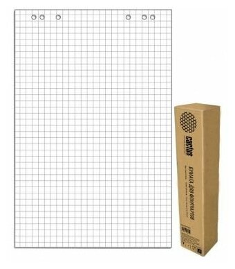 Бумага Cactus Блок бумаги для флипчартов 67.5х98см клетка 20л (упак:5шт)