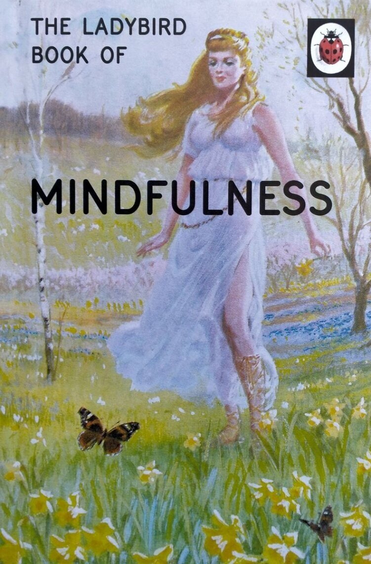 Ladybird Book of Mindfulness (Hazeley Jason A., Morris Joel P.) - фото №2