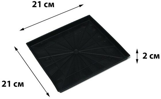 Поддон для рассады, 21 × 21 × 1.7 см, пластик, чёрный