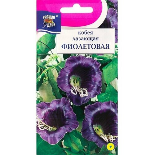 Семена цветов Кобея Фиолетовая, 0,3 г 6 упаковок кобея фиолетовая семена цветы