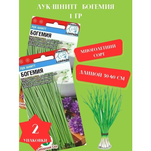 Семена Лук Богемия, 0.5г 2 упаковки семена лук шнитт богемия на зелень 0 5 г