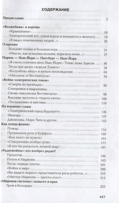 Тесла. Пророк электричества (Матонин Евгений Витальевич) - фото №2