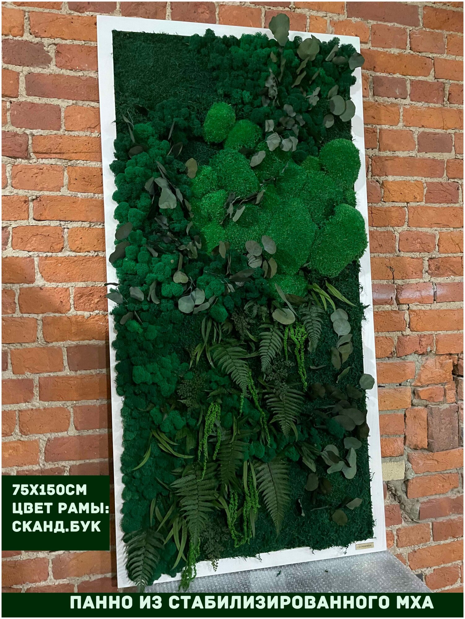 Панно из стабилизированно мха GardenGo в рамке цвета скандинавский бук, 75х150 см, цвет мха зеленый