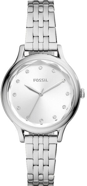 Наручные часы FOSSIL Laney BQ3861