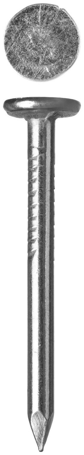 ЗУБР 40 х 3.0 мм, гвозди с большой потайной головкой, цинк, 5 кг (305090-30-040)