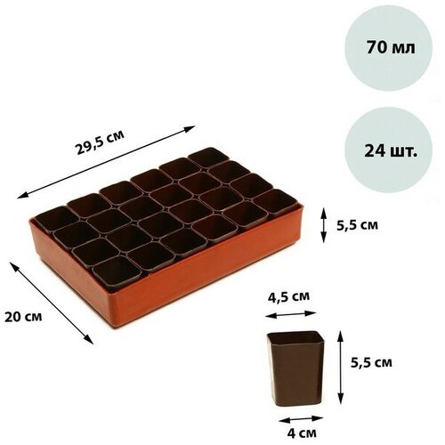 Набор для рассады: стаканы по 70 мл (24 шт.), поддон 29,5 × 20 см, микс