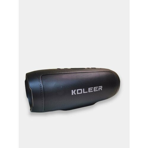 Портативная беспроводная колонкаBlack 187600₽