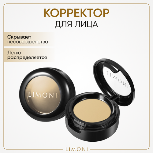 Limoni Корректор для лица Skin Perfect corrector в футляре, оттенок 02