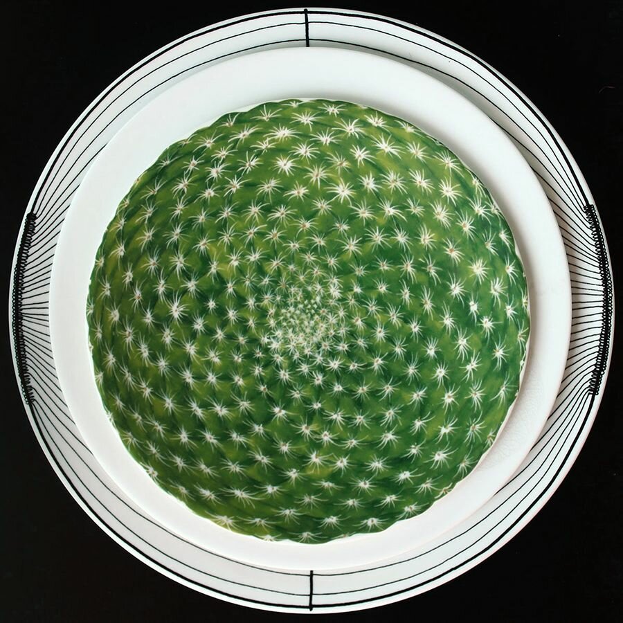 Тарелка десертная 23 см Cactus Taitu зелёная - фото №3