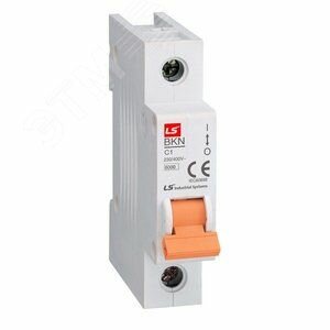 Выключатель автоматический 1P, Icu-6кА кривая C, 1А BKN 1P C1 06110070R0