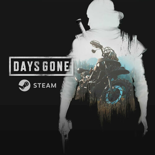 Days Gone (PC)