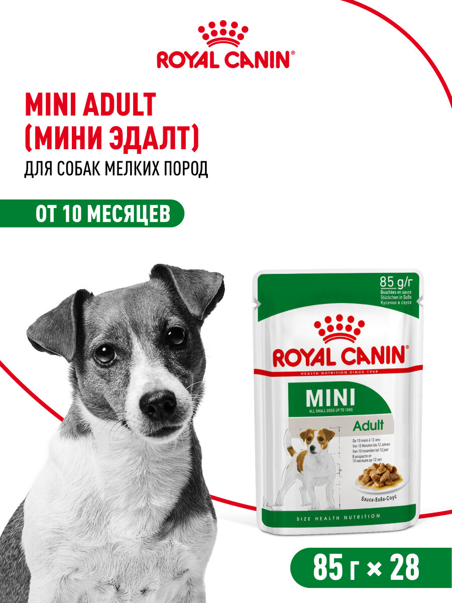 Картинки Влажный корм для собак Royal Canin Mini Adult для мелких пород, кусочки в соусе, 28 шт по 85 г